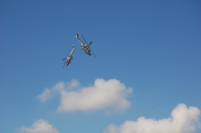 Royal Navy Black Cats