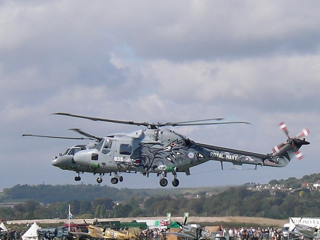 Royal Navy Black Cats