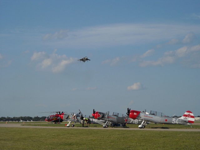 Harrier and Yak