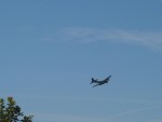 DSCN5319